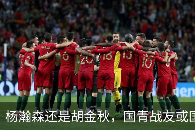 杨瀚森还是胡金秋，国青战友或国家队大哥，谁更适合搭档王俊杰？